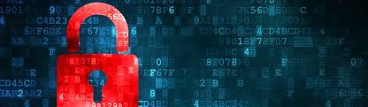 Arizona Premier Insurance - Office of Niqúe Nuñez privacy policy Gilbert AZ
